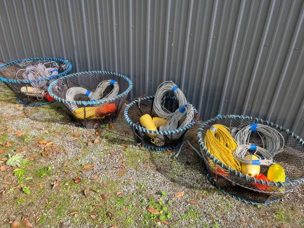SHRIMP POTS 1