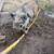 Kunekune pigs 3 thumbnail