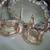 FRENCH ANTIQUES + SILVER PLATE WATER POT HOLDERS 2 thumbnail