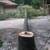 tree service, tree trimming, tree removal, tree topping, tree pruning 3 thumbnail