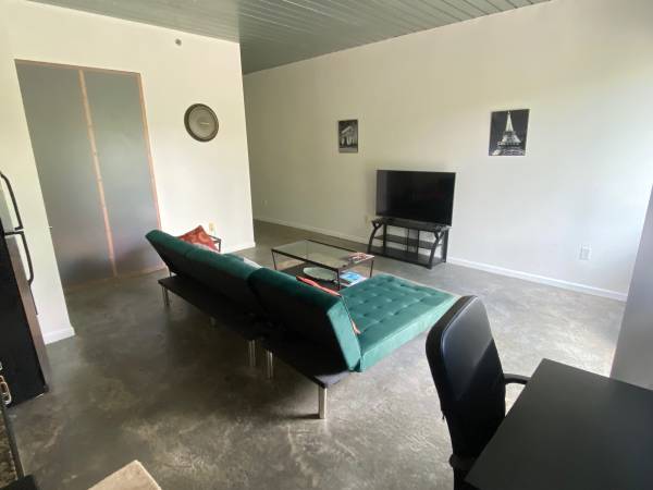 $250 / 1br - 775ft2 - Seeking cool F Roommate for Old 4th Ward Loft (Old 4th Ward next to the Beltline)63963858860930121
