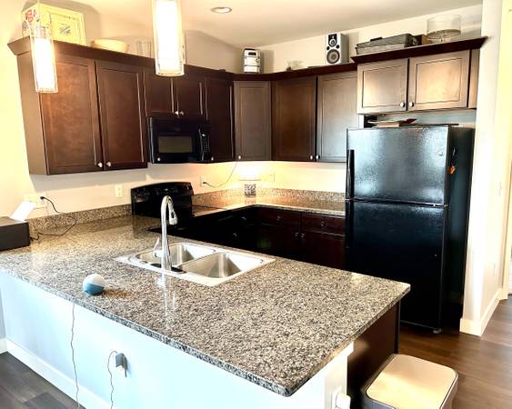 $1,600 / 2br - 1200ft2 - 2bed-2bath, 6month lease with option to extend. (Iowa City-Peninsula neighborhood.)63897405390211122