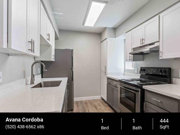 TMLP 15-mo. | Three Sparkling Pools, Stainless Steel Appliances 1