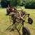 Hay Rake side delivery David Bradley 5 thumbnail