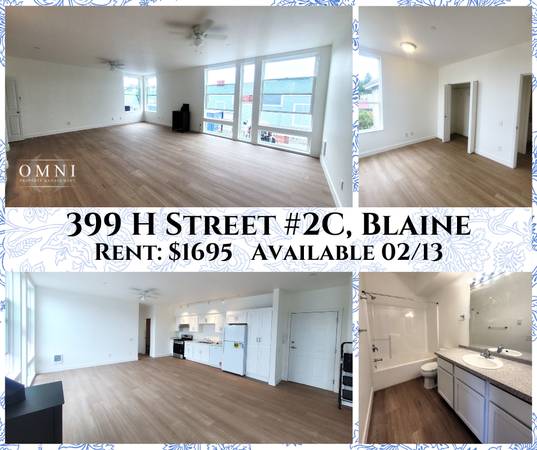 REMODELED Spacious 1 Bedroom in Downtown Blaine - H street 2C 1