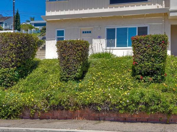 Gardening in Point Loma 1