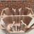 Cambro Cafeteria / Restaurant Mobile Dish Caddy 3 thumbnail