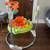 Fisher-Price Jumperoo Jumper – Clean, Excellent Condition! 2 thumbnail