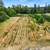 Turn-Key Multi-Generational Estate on 5 acres in Langley! 15 thumbnail