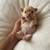 Adopt,. Frenchie 1 thumbnail