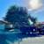Tree & palm services, yard clean ups, artificial grass & pavers 8 thumbnail