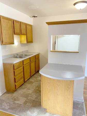 $795 / 350ft2 - Studio Apartment (Blackstone District) (Blackstone)63681713968129120