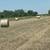 tifton hay bales 3 thumbnail