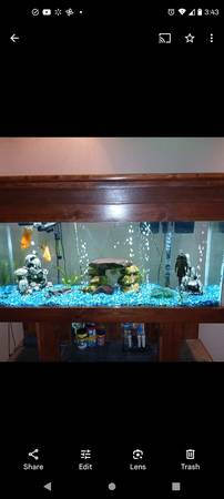 Soporte para acuario solo (Cheyenne)63655907043075121