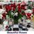 FLOWERS WHOLESALE 50 ROSES $69! 100 ROSES $139-FREE FAST DELIVERY! 13 thumbnail