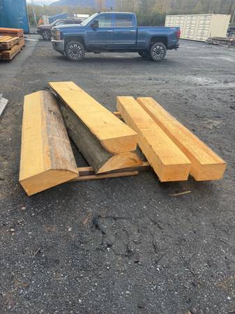 Alaskan yellow cedar 1