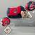 CHIEF WAHOO Cleveland Indians 2 x Soft Balls & Stuffy MLB GENUINE MERC 3 thumbnail