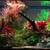 Aquarium Plants&Bloody Mary Shrimps - $1 (san jose north) 15 thumbnail