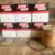 Perkins 4-107 Filters/Impeller 1 thumbnail