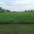 Hay Bales 3 thumbnail