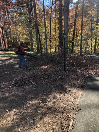 JC lawn care / Maintenance 1