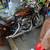 Harley Davidson 2 thumbnail