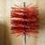 Chimney Cleaning Brush 1 thumbnail