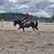 Horse riding lessons 3 thumbnail