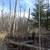 5.5 Acres on Lake Minnewawa 8 thumbnail