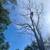 K2 Tree service/ Logging 13 thumbnail