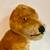 Antique Stuffed Toy Dog 2 thumbnail
