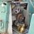 DoAll Bandsaw model 3612-3 13 thumbnail