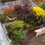 Room Beautiful Bright & Sunny With Views- Liberty Hill (Furnished) 20 thumbnail