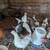 pullets and roos 2 thumbnail