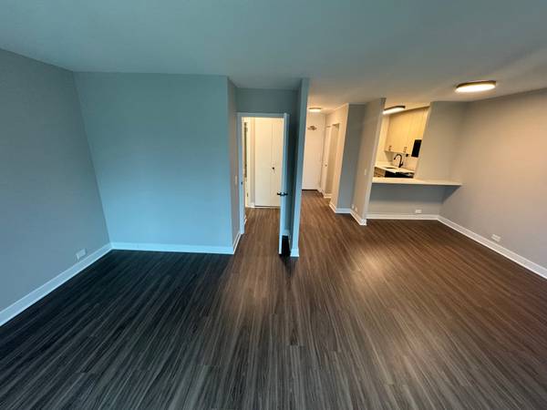 $1,950 / 567ft2 - studio-ss appliances, 24hr doorman, gym&yoga rm, pool sundeck w grills (Lakeview)63781279822595120