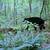 Black bear Cabin FOR SALE ONLY 17 thumbnail