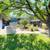 Rent $899! 715 Sq. Ft. 1 Bedroom Available Now! Tour Today! 19 thumbnail