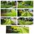 ●●LANDSCAPING=MASONRY=CLEANUPS==FENCES== 14 thumbnail
