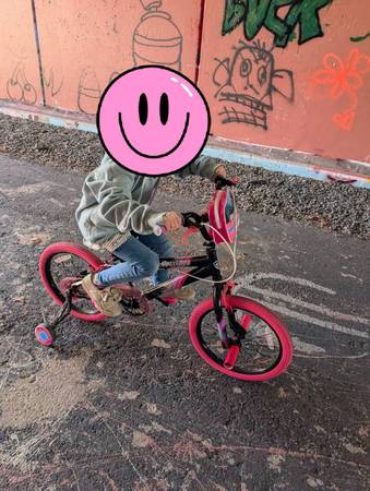 Bicicletas desaparecidas (SW REDMOND)63824690385025121