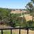 Private Bedroom For Rent Near Stanford for Female Available Now 1 thumbnail
