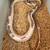 Sugar gliders , hedgehogs , snakes (boas / colubrids) 15 thumbnail