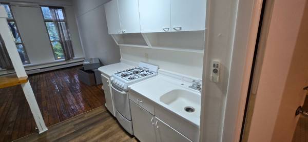 $810 / 650ft2 - Cedar Riverside STUDIO Apt in MPLS 421-5 (Westbank)63868702315649124