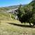Vacant land for sale (Loc.: Rising drive) 15000sqft 8 thumbnail