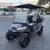 Brand New Gas Golf Carts - Public Auction - No Reserves 1 thumbnail