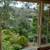 A Beautiful 2 B/R Retreat House for Sublet Sept. 10 - Oct. 8 1 thumbnail