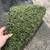 End of Summer SALE! Turf at $0.55/sqft - 9.5'x45' - 1100lbs per roll 6 thumbnail