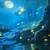 ROSSETTA 3D Projector Bluetooth 60 Scenes, and Meloki Jellyfish Lamp 11 thumbnail