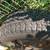 free old snow tires 225/75/R15 4 thumbnail