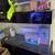 Black lucite hood 90 gallon fish tank 6 thumbnail