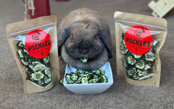 Natural Treats For Rabbits, Guinea Pigs and other Small Pets 1